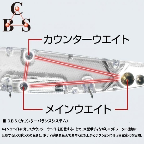 アマゾン　ボーンモデル